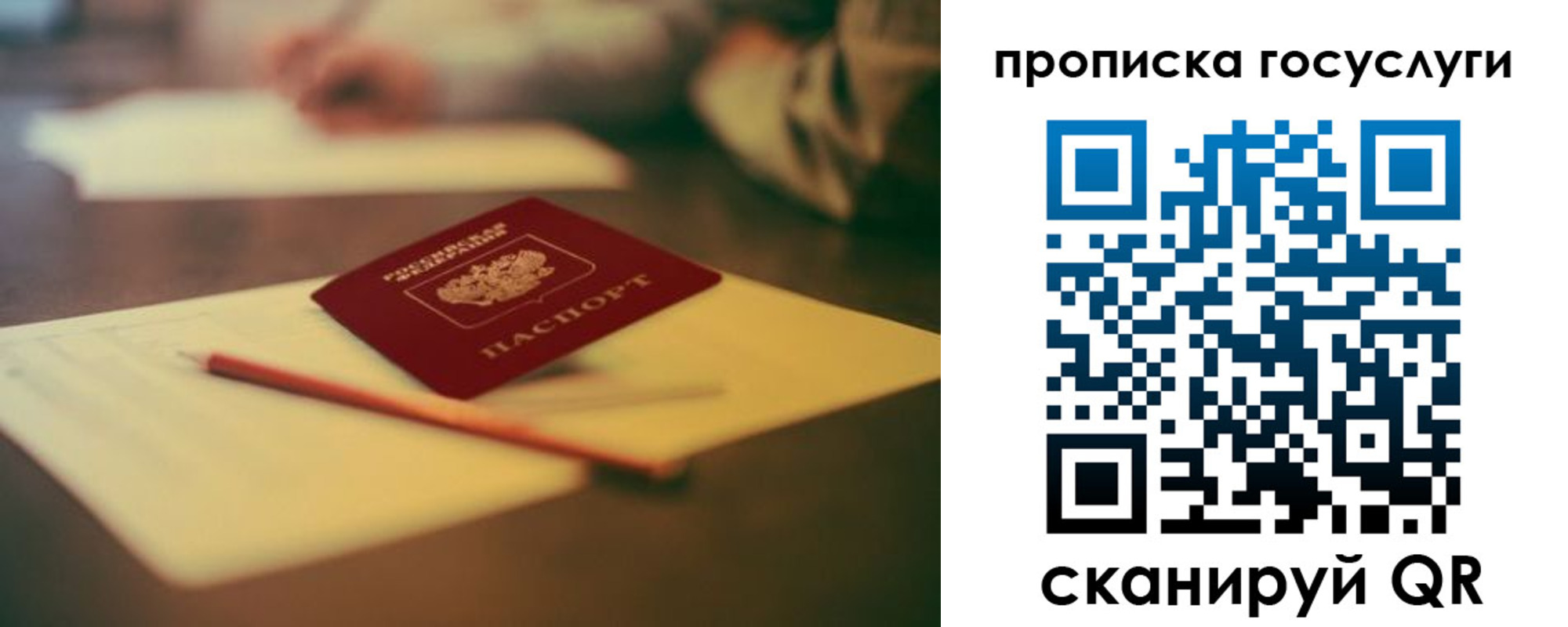 прописка для школы в Белгородской области